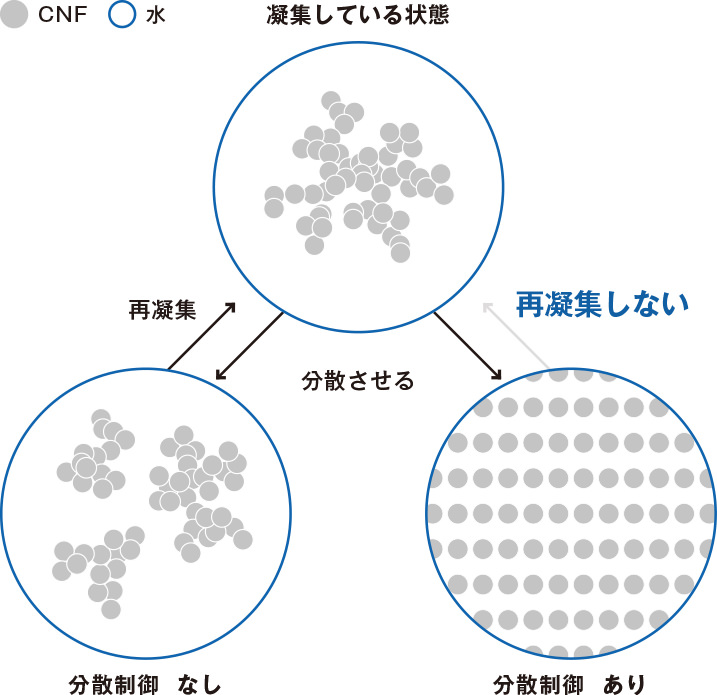 スターライトのCNF分散制御技術